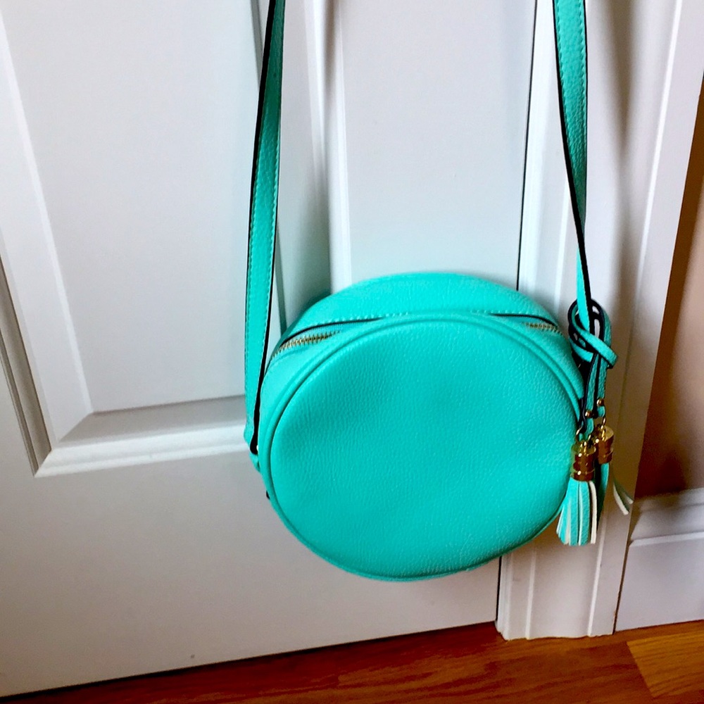 Adorable teal circle purse